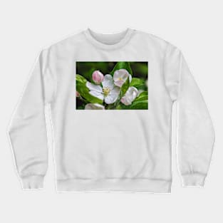 Apple Blossom Crewneck Sweatshirt